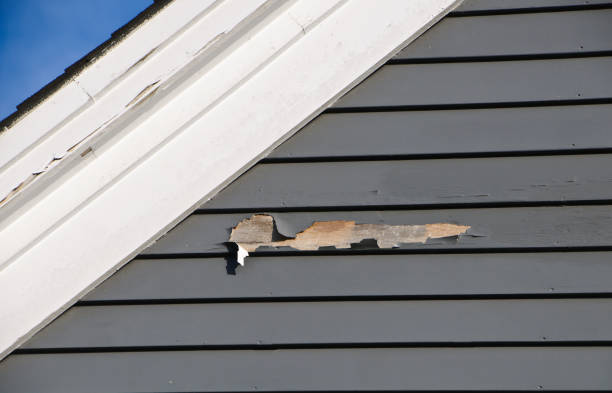 How To Choose The Right Materials for Your Siding Installation in 'Potosi, TX